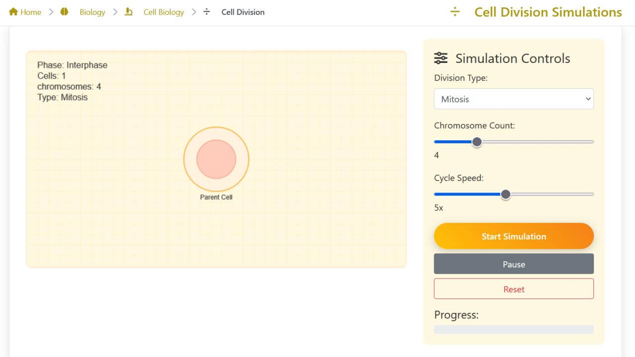 Cell Division - BinaryVisual | Cell Biology